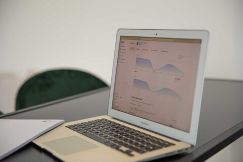 Darstellung einer Statistik auf einem Laptop