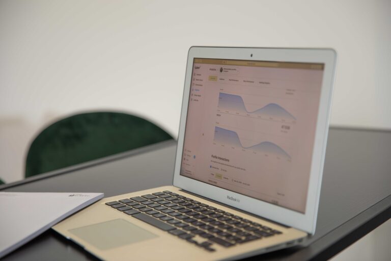 Darstellung einer Statistik auf einem Laptop