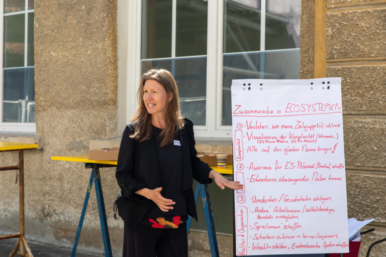 Vortrag über Ecosysteme mit Darstellung auf Whiteboard