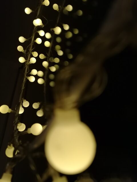 Glühbirne | (c) Manuela de Pretis, WISTO