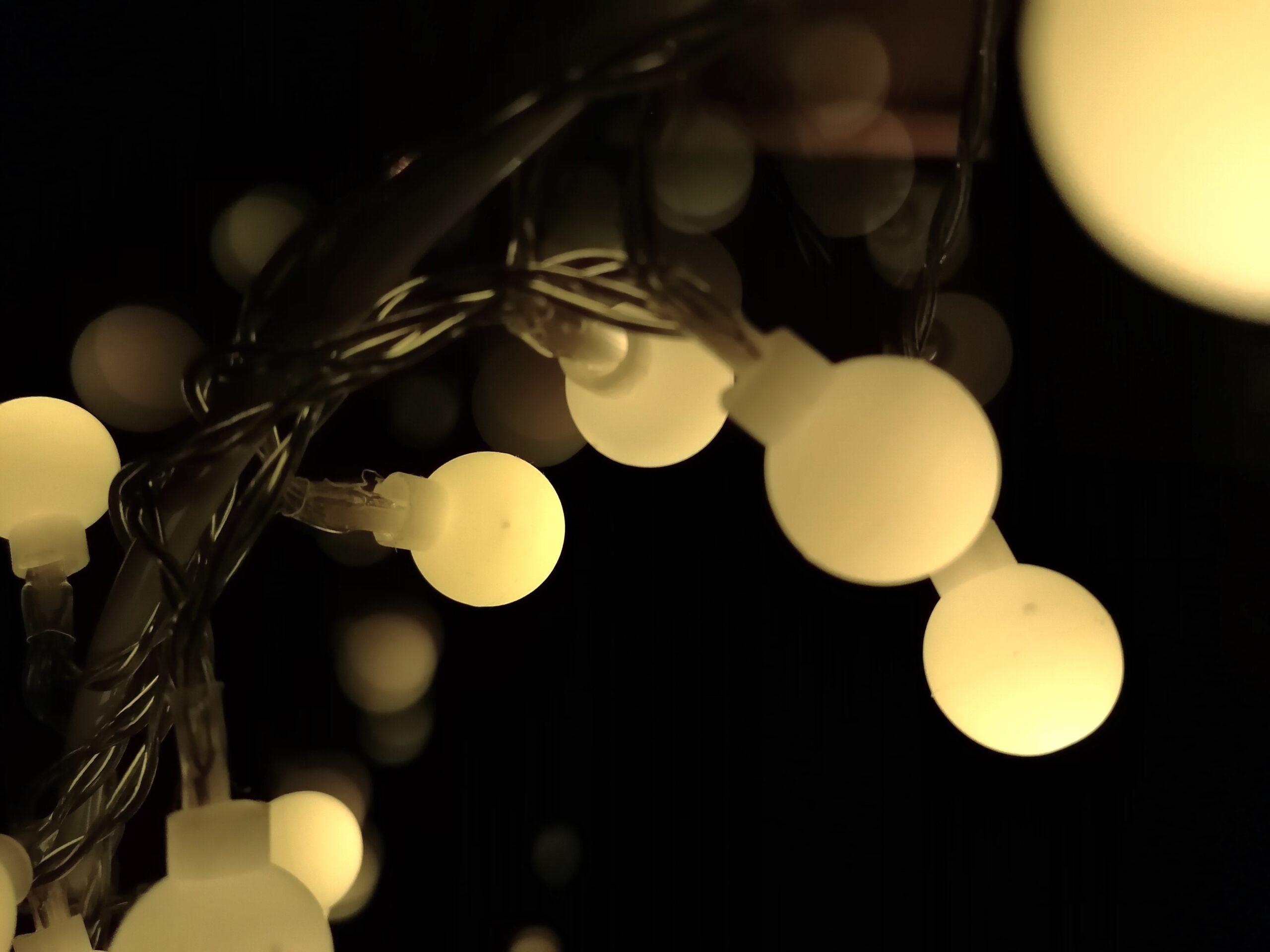 Lichterkreis | (c) Manuela de Pretis, WISTO